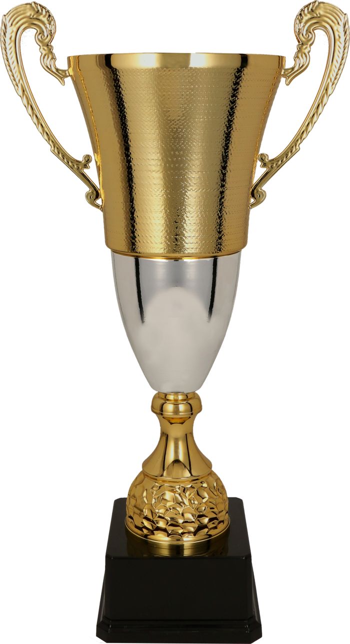 Puchar 2071 BP – główny
