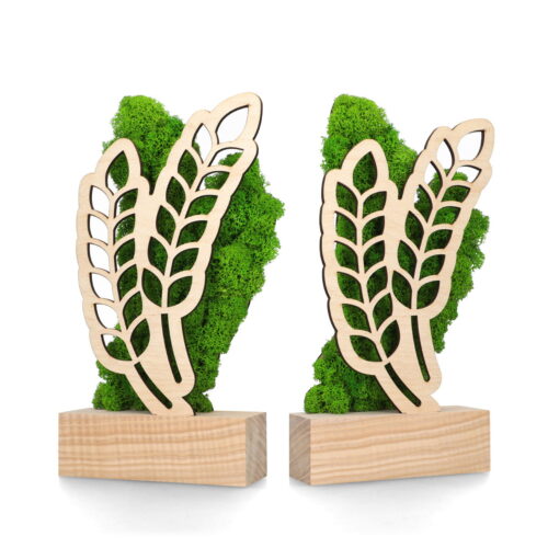 Trofeum BOM008 - natura