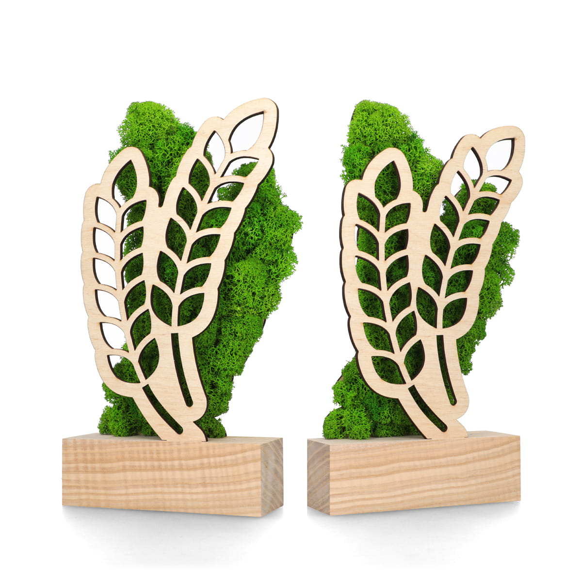 Trofeum BOM008 - natura