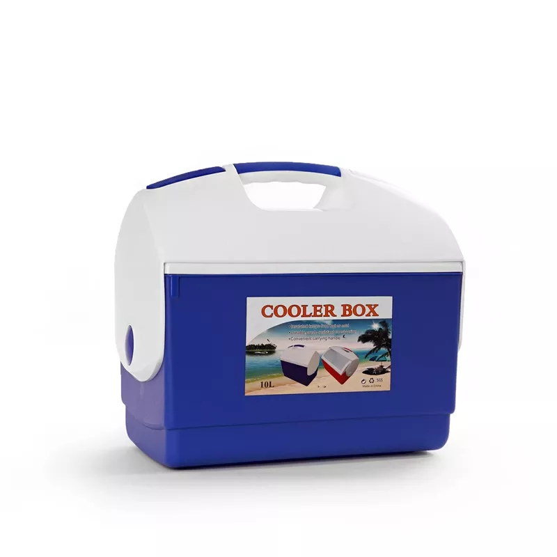 Lodówka przenośna, Coolling box 10 litrów